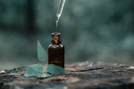óleo essencial puro e natural de uma essência
