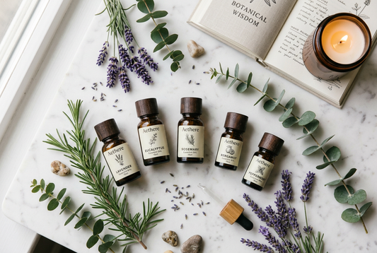 Óleos Essenciais para Concentração: Aromas para Estudar e Trabalhar